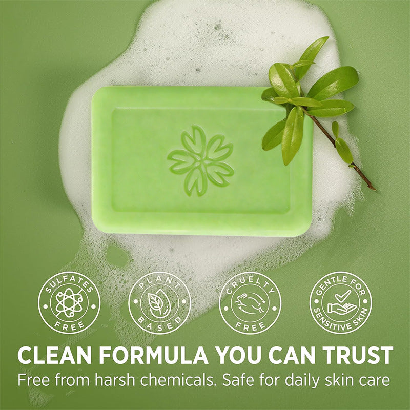 Tea Tree Essential Oil Handmade Soap for Facial and Body Cleansing